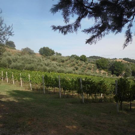 Podere Caldaruccio La Pineta Perugia Ngoại thất bức ảnh