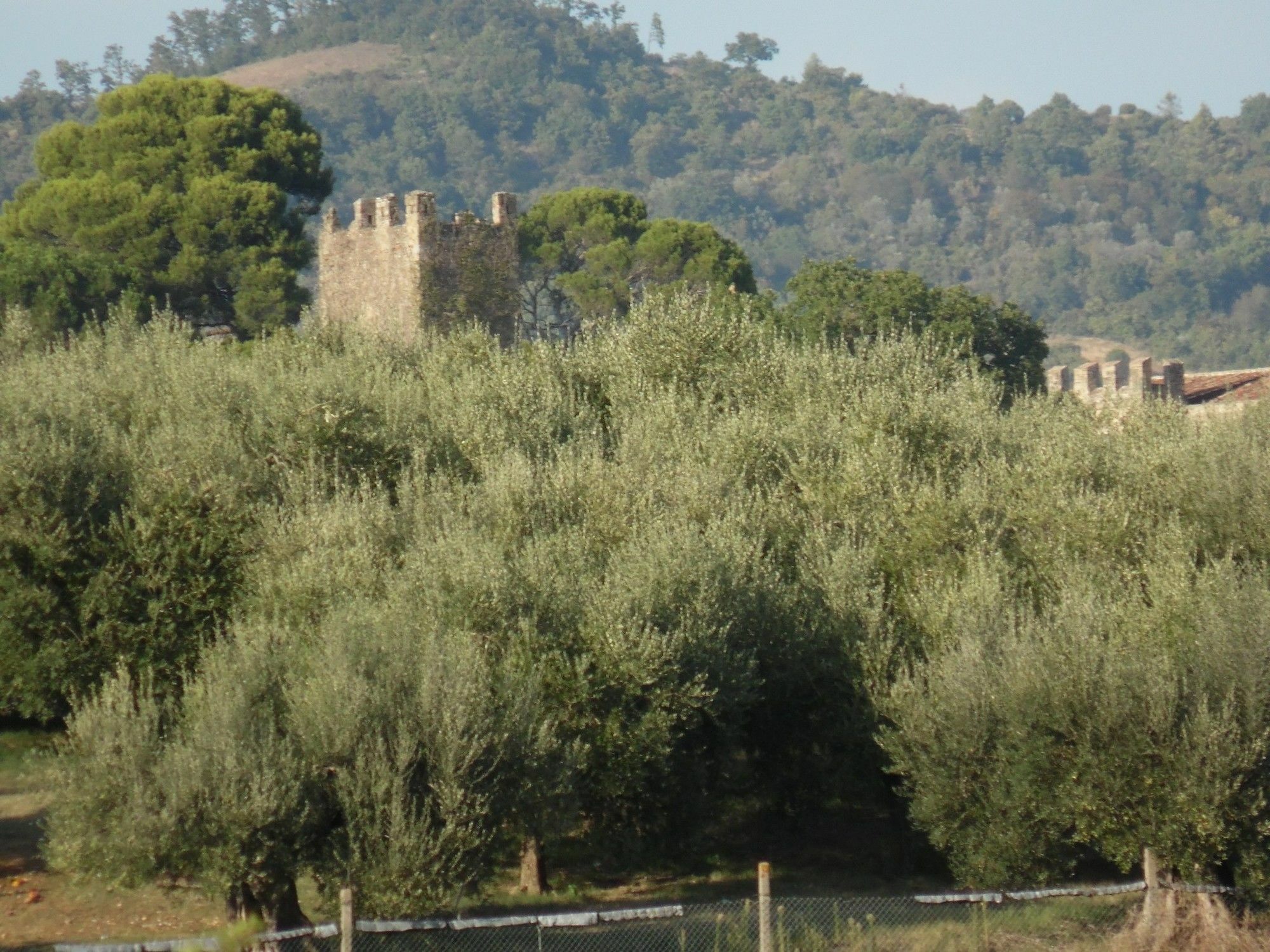 Podere Caldaruccio La Pineta Perugia Ngoại thất bức ảnh