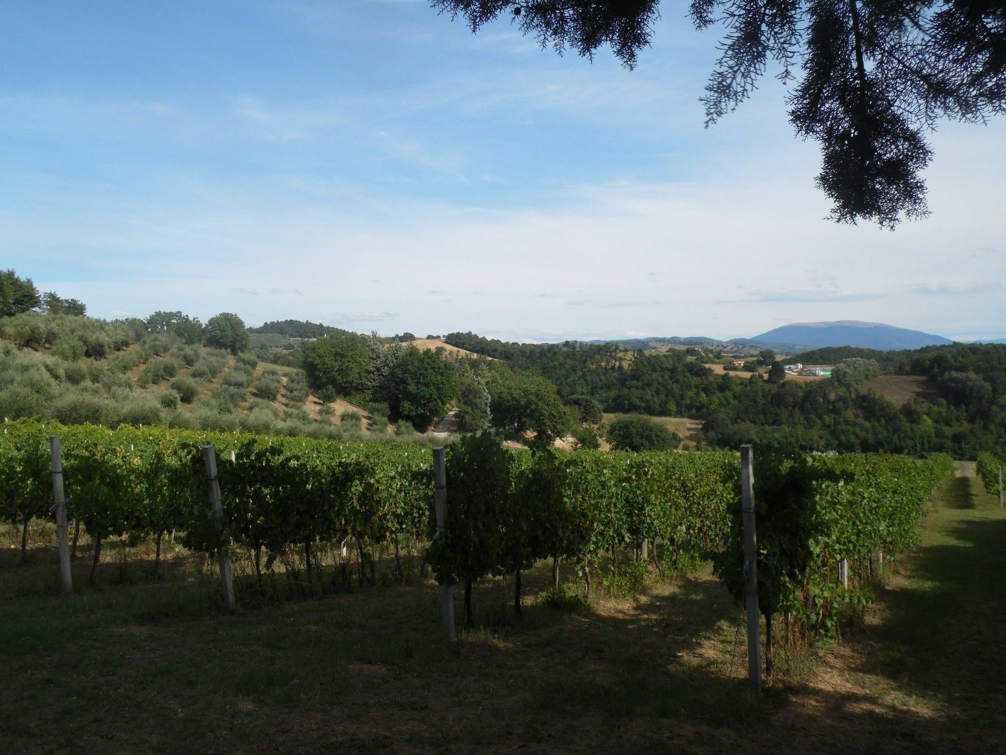 Podere Caldaruccio La Pineta Perugia Ngoại thất bức ảnh